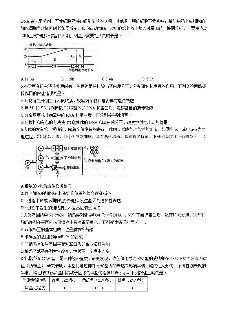 2025邢台质检联盟高三上学期11月期中考试生物含答案第2页