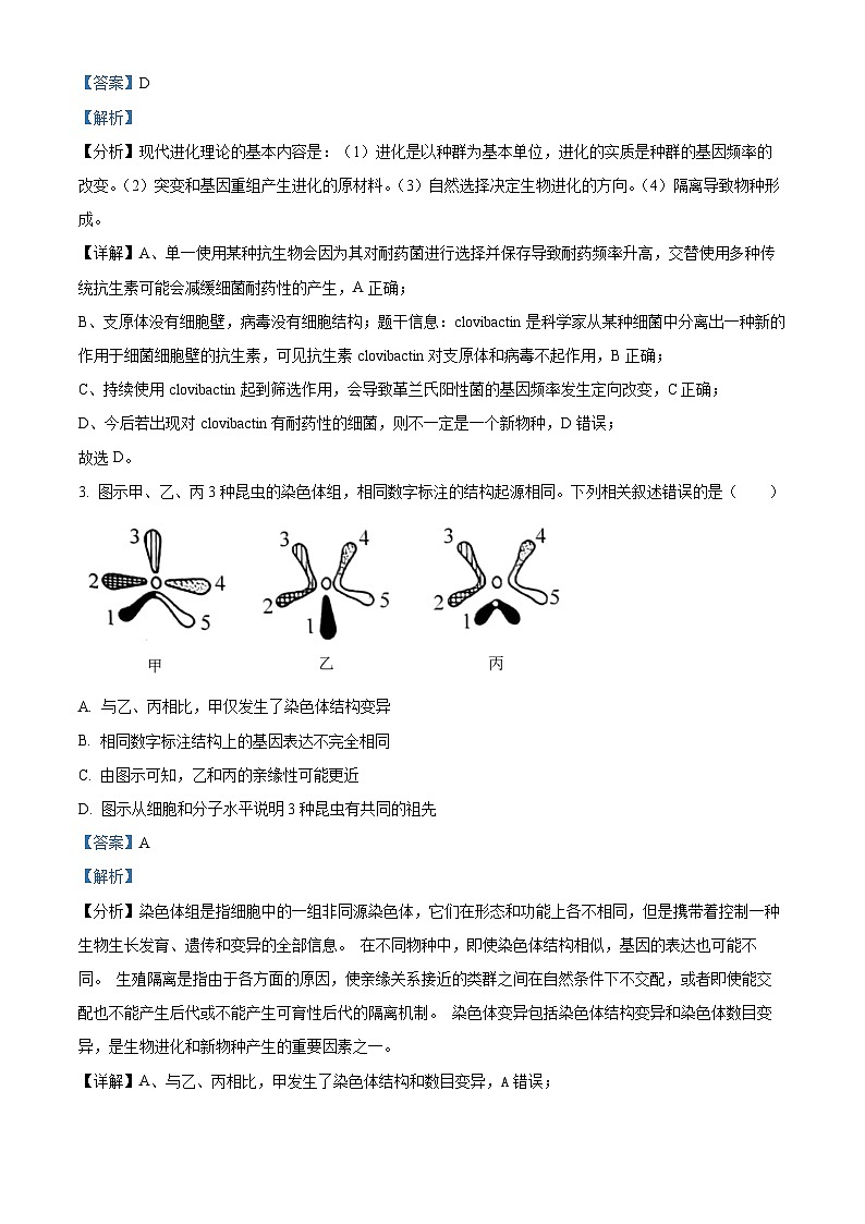 湖北省武汉市华中师范大学第一附属中学2024-2025学年高二上学期11月期中生物试题含解析第2页