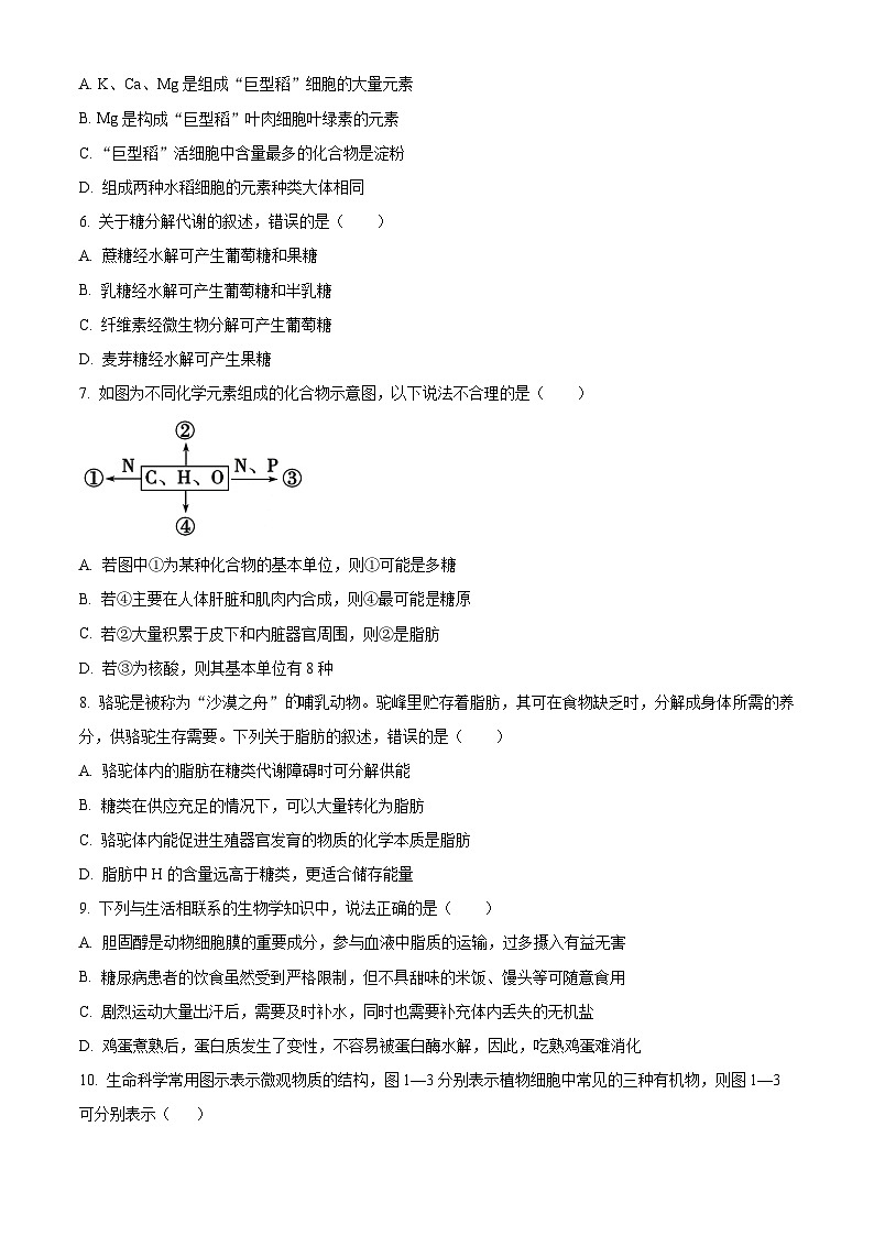 河南省郑州市十校2024-2025学年高一上学期期中联考生物试卷 Word版无答案第2页
