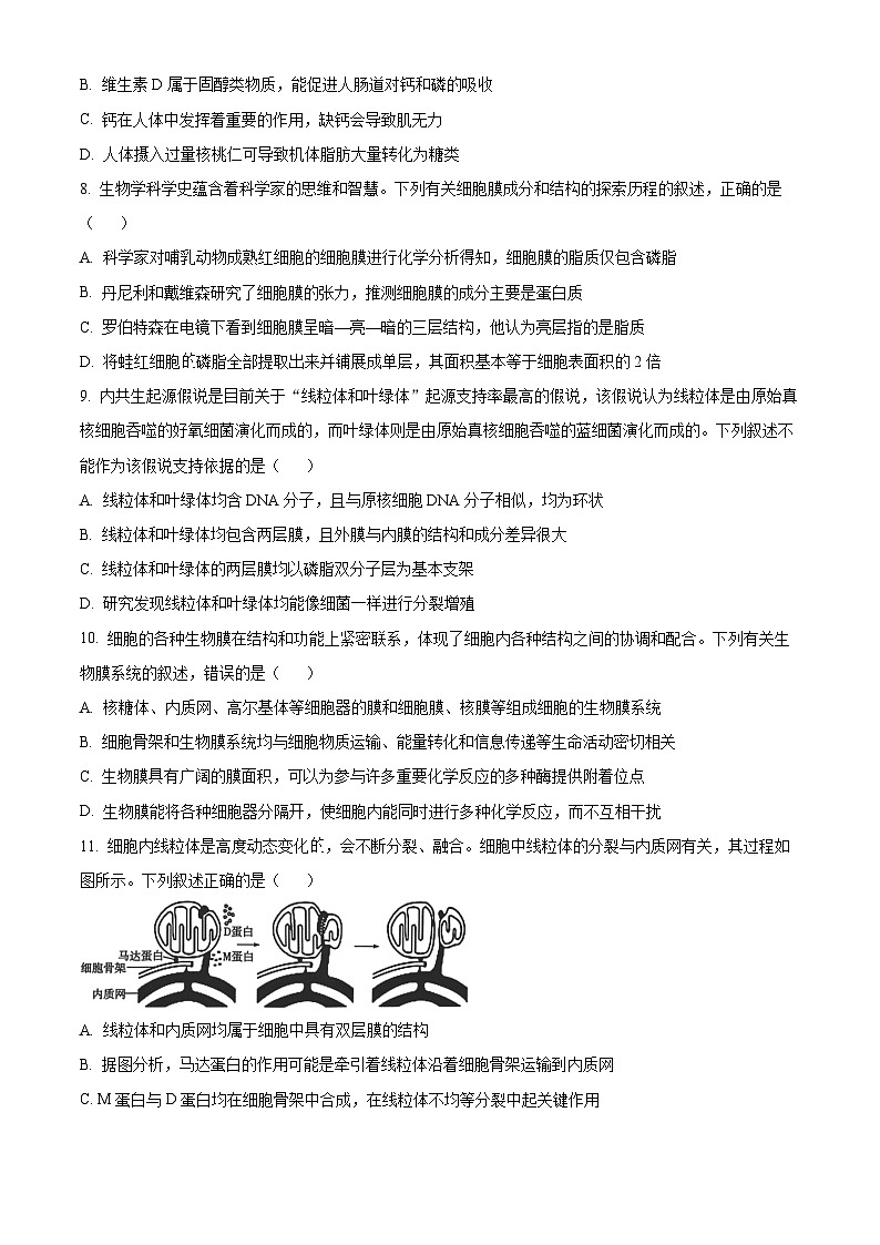河南省南阳市六校2024-2025学年高一上学期期中联考生物试卷(Word版附答案)03