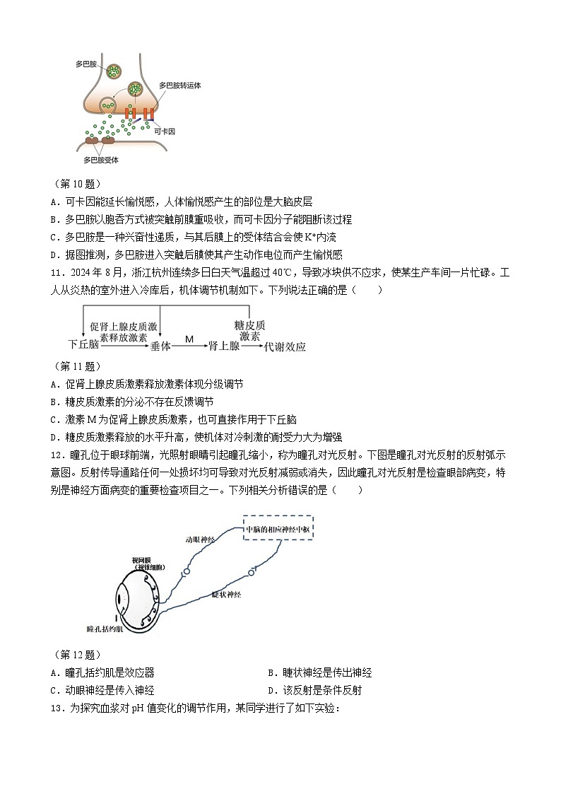 浙江省浙里特色联盟2024-2025学年高二上学期期中联考生物试题03