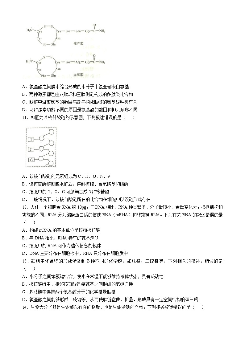 山东省名校考试联盟2024-2025学年高一上学期11月期中检测生物试题(无答案)第3页