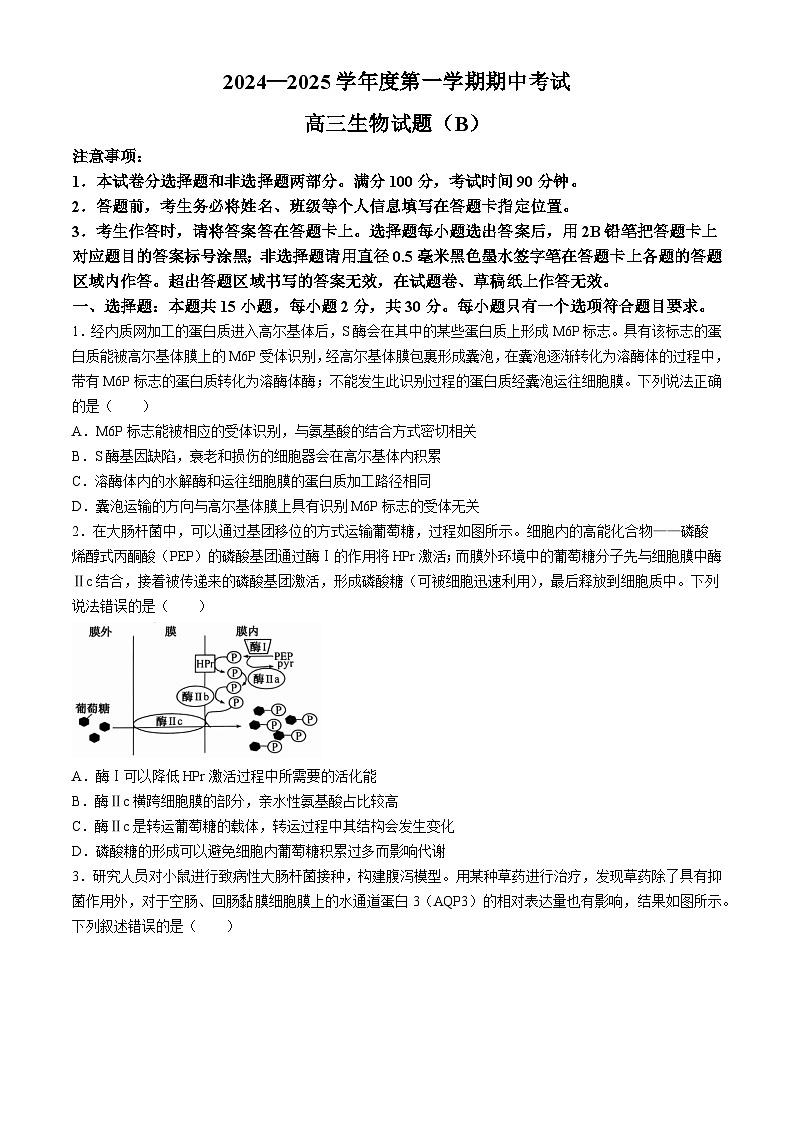 山东省菏泽市2024-2025学年高三上学期11月期中生物试题第1页