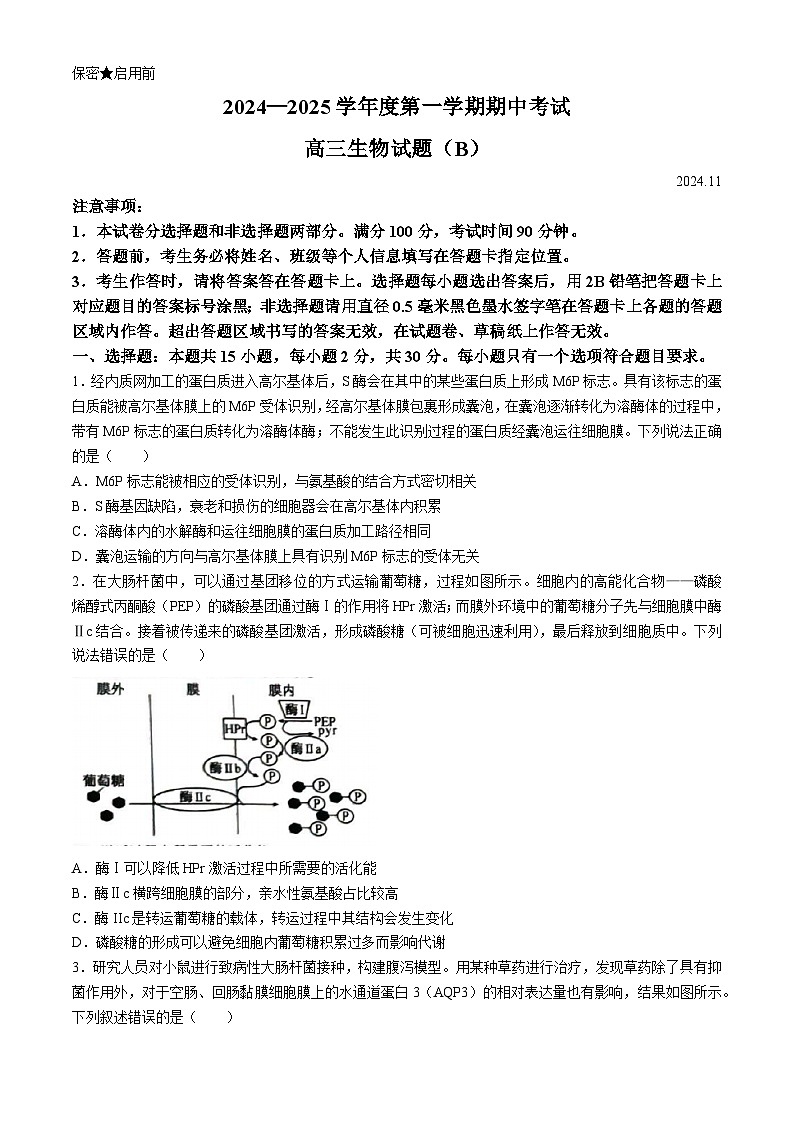 山东省菏泽市2024-2025学年高一上学期期中考试生物试题(002)第1页