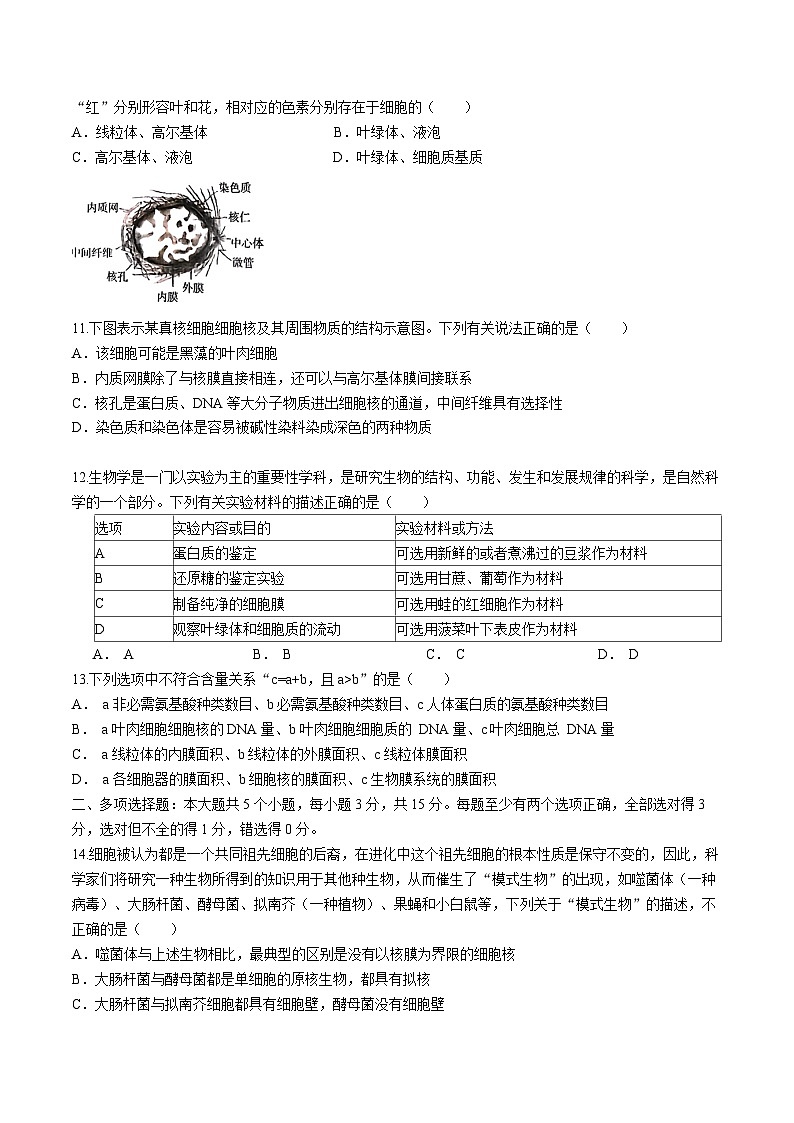 河北省沧州市沧县中学2024-2025学年高一上学期11月期中考试生物试题第3页