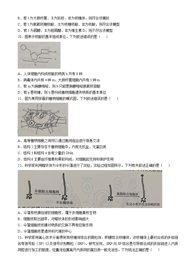 广东省部分学校2024-2025学年高一上学期期中联考生物试题第3页