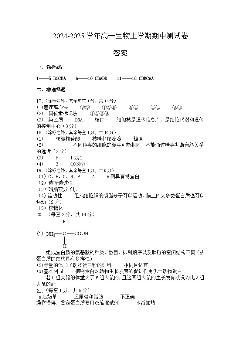 答案第1页