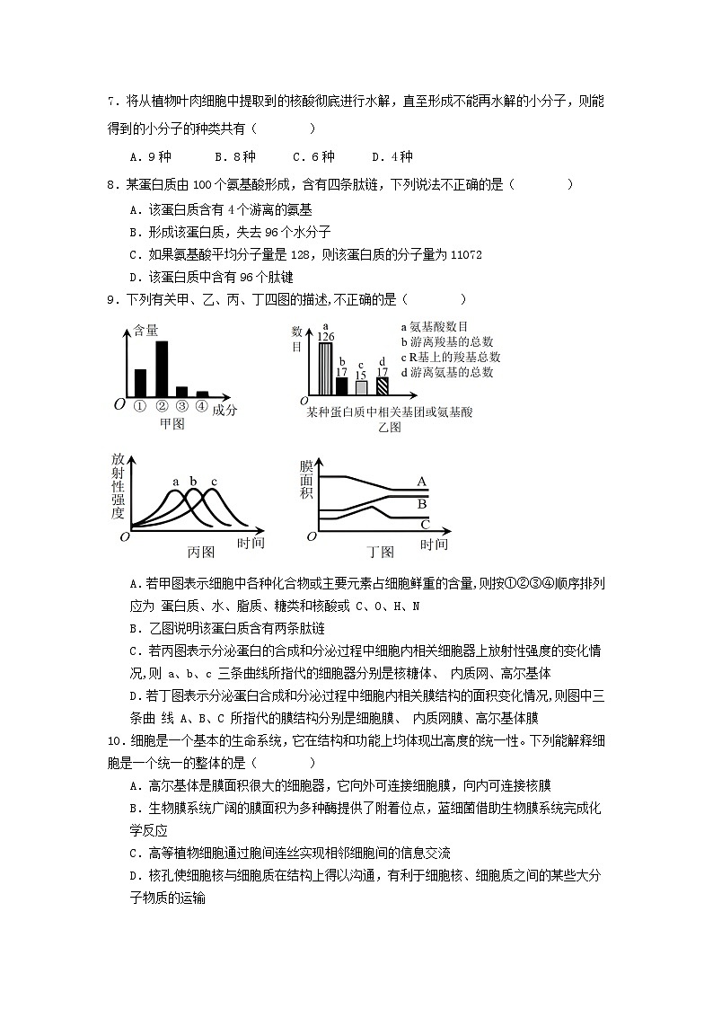 陕西省渭南市大荔县城郊中学2024-2025学年高一上学期期中考试生物试卷第2页