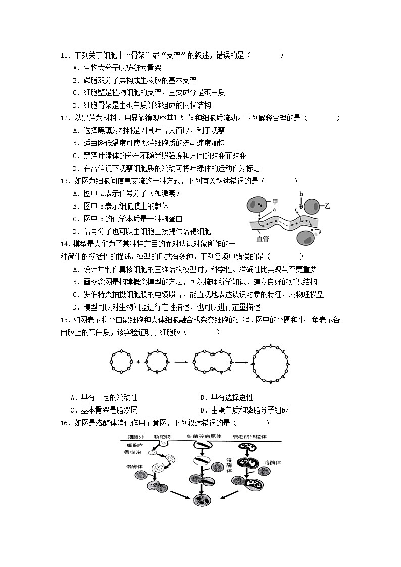 陕西省渭南市大荔县城郊中学2024-2025学年高一上学期期中考试生物试卷第3页