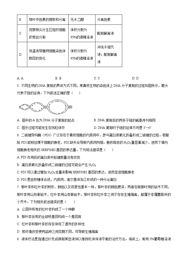 湖南省长沙市第一中学2024-2025学年高三上学期第三次月考生物试卷(Word版附解析)02