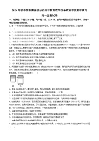 湖北省鄂东南省级示范高中教育教学改革联盟学校2024-2025学年高一上学期期中联考生物试卷（Word版附答案）