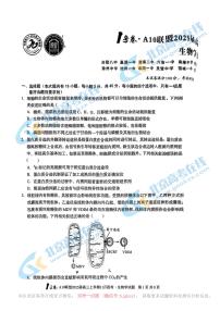 2025届安徽A10联盟高三上学期11月份联考生物试题及答案
