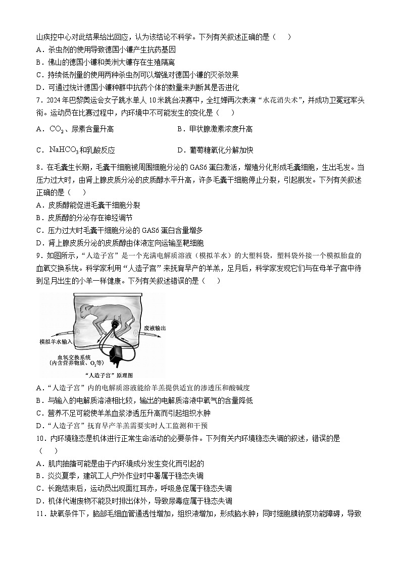 广东省深圳市盟校联盟2024-2025学年高二上学期11月期中考试生物试卷(Word版附解析)02