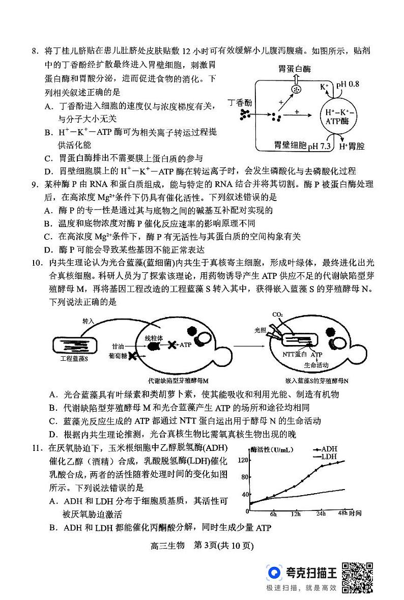 河南省南阳市2024-2025学年高三上学期11月期中考试生物试卷(PDF版附答案)第3页