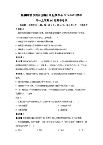 新疆维吾尔自治区喀什地区莎车县2024-2025学年高一上学期10月期中考试生物试卷（解析版）