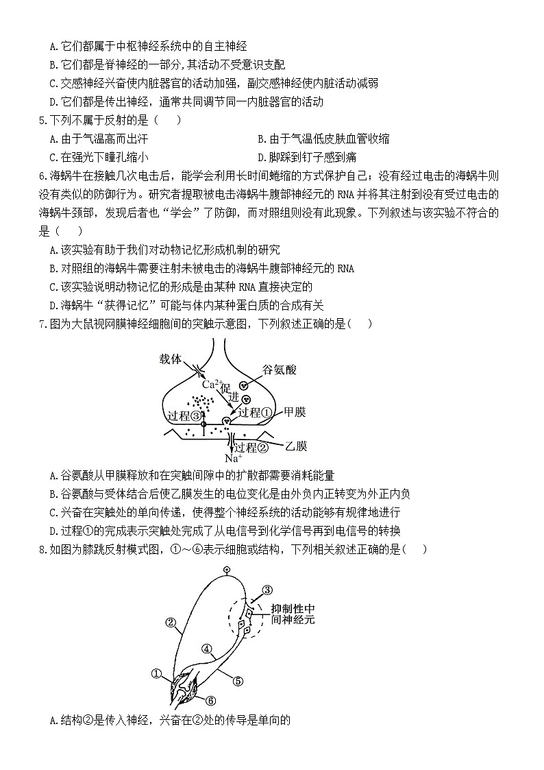 四川省宜宾市南溪区四川省宜宾市南溪第一中学校2024-2025学年高二上学期期中生物试卷02