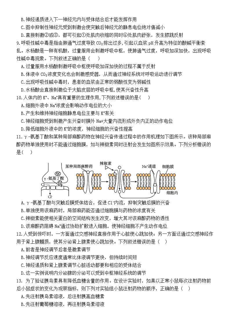 四川省宜宾市南溪区四川省宜宾市南溪第一中学校2024-2025学年高二上学期期中生物试卷03