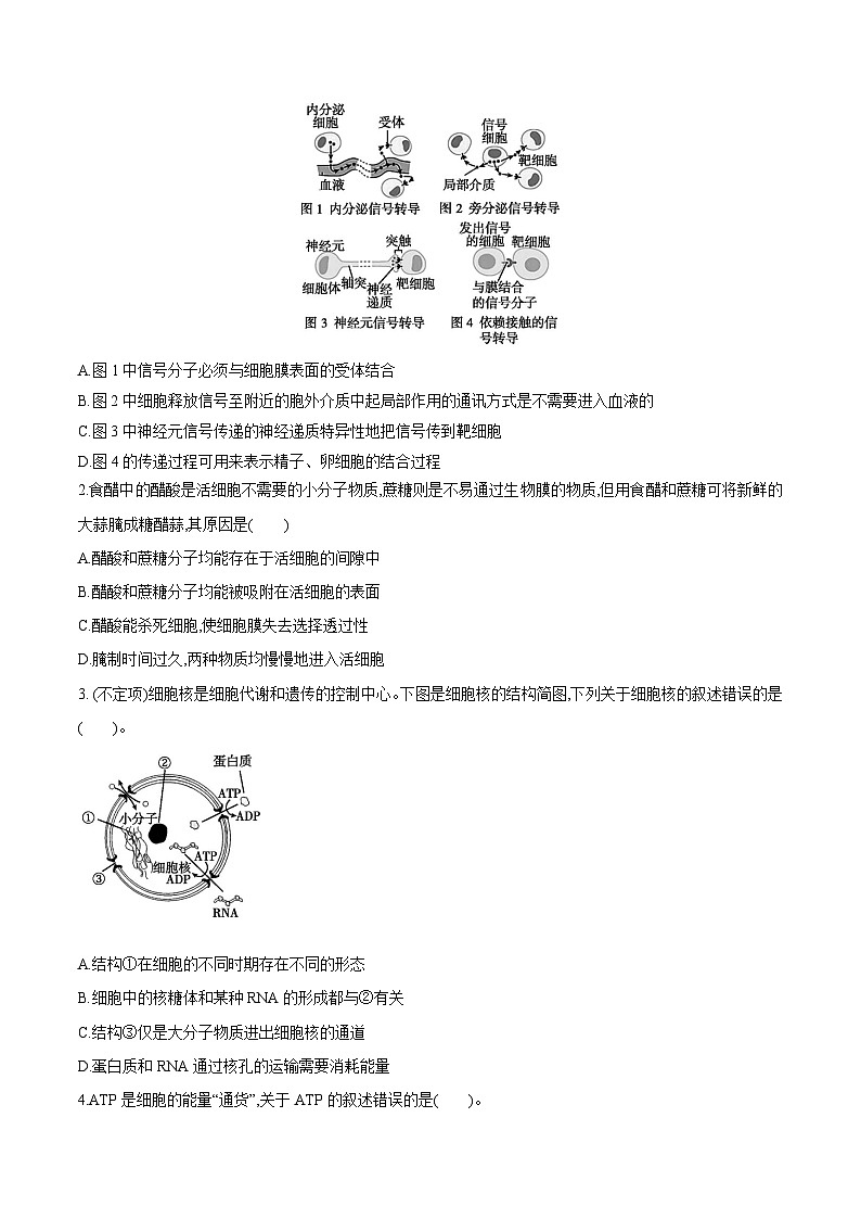 【高考生物】答题技巧与模板构建:题型01 基本概念原理类(选择题5大类型解题技巧)(原卷版)第3页