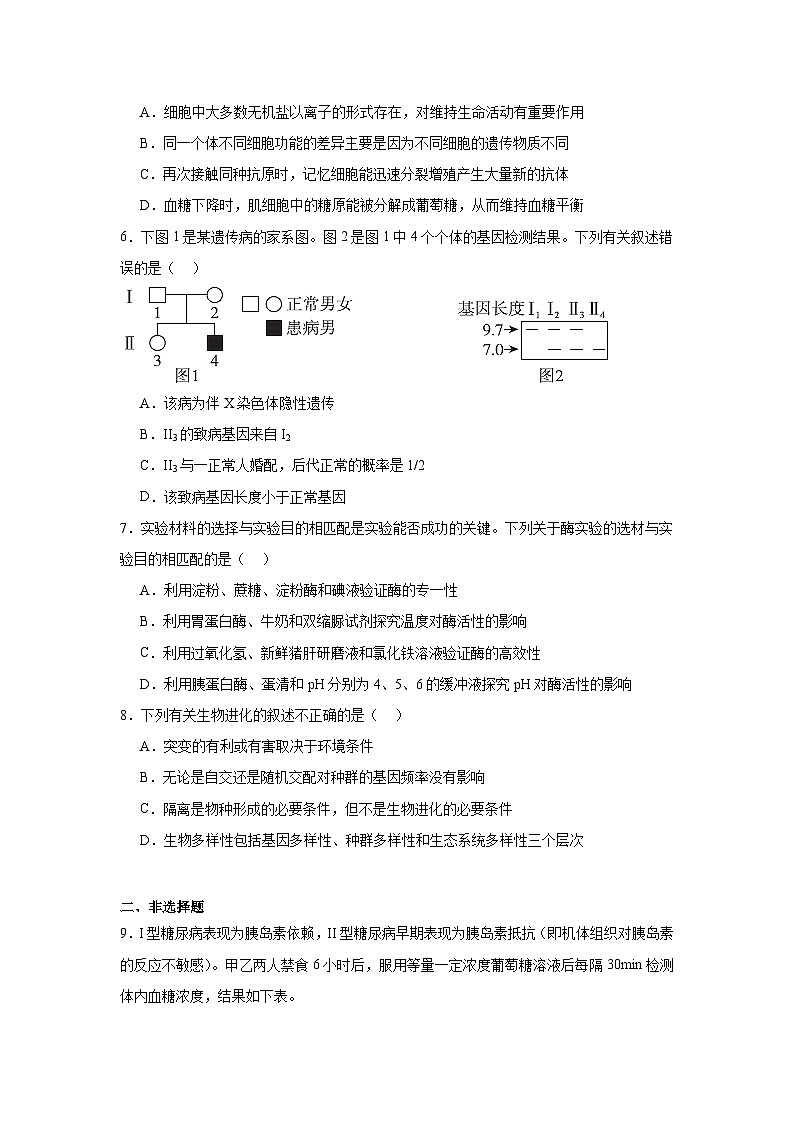 河南省开封市兰考县第三中学2024-2025学年高三上学期适应性模拟生物试题第2页