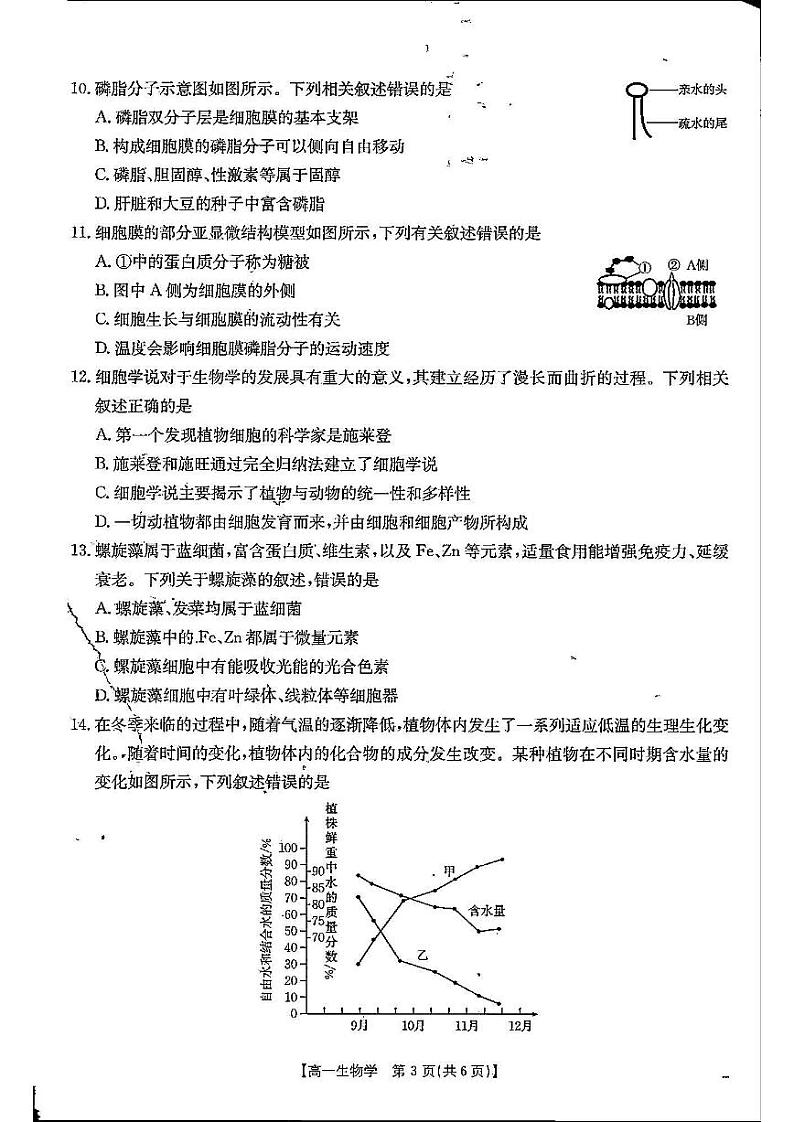 河北省定州市名校2024-2025学年高一上学期期中联考生物试题03