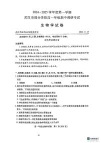 湖北省武汉市部分学校2024-2025学年高一上学期11月期中调研考试生物试题