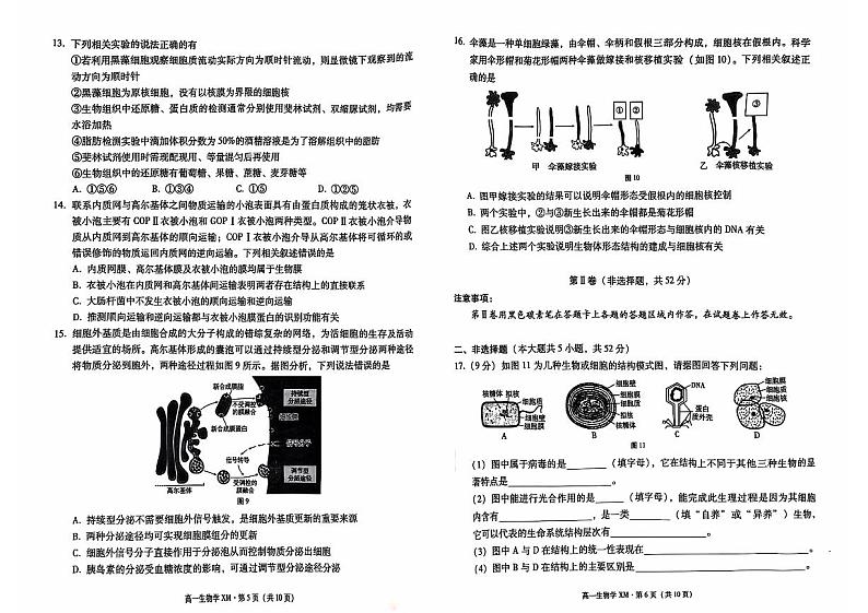 云南省昆明市寻甸回族彝族自治县民族中学2024-2025学年高一上学期11月期中生物试题03