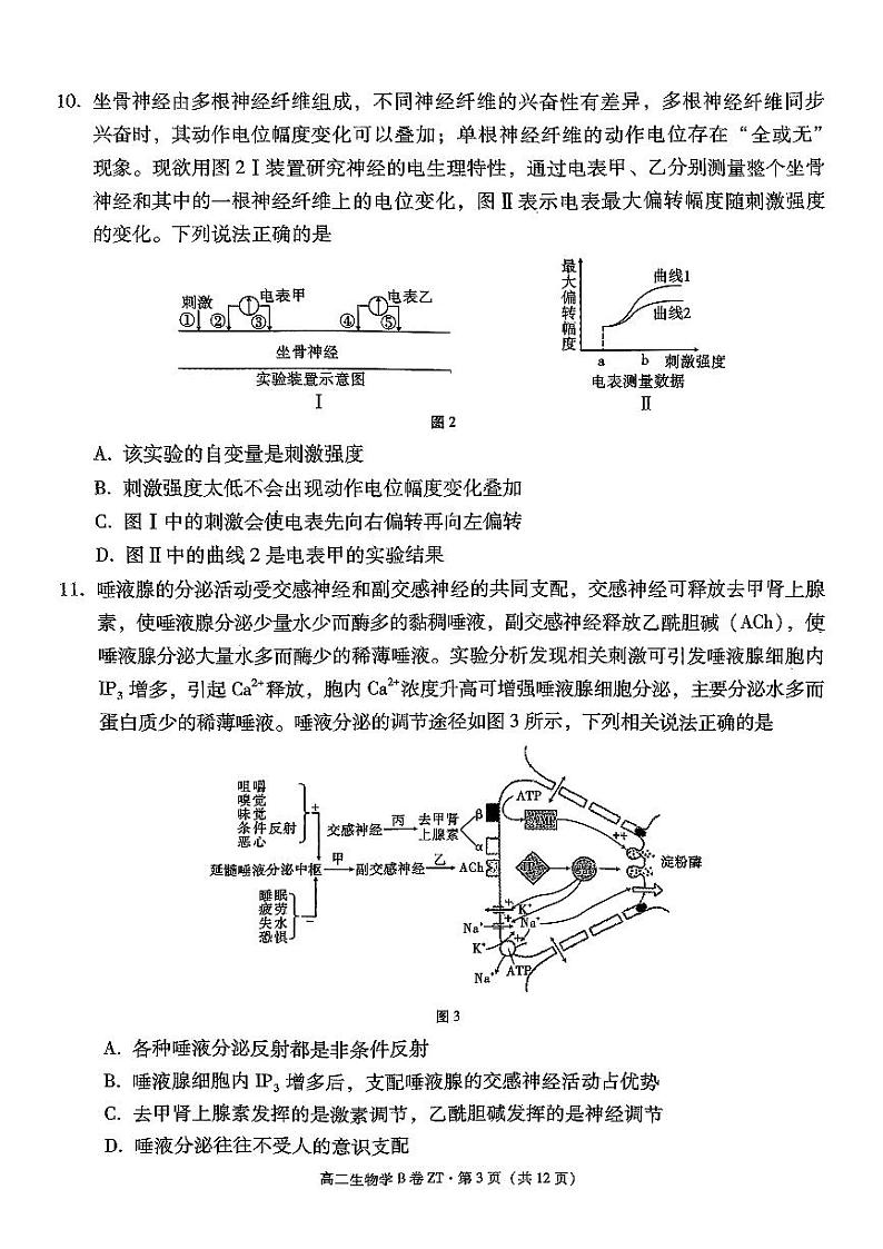云南省昭通市第一中学教研联盟2024~2025学年高二上学期期中质量检测生物(B卷) 试题第3页