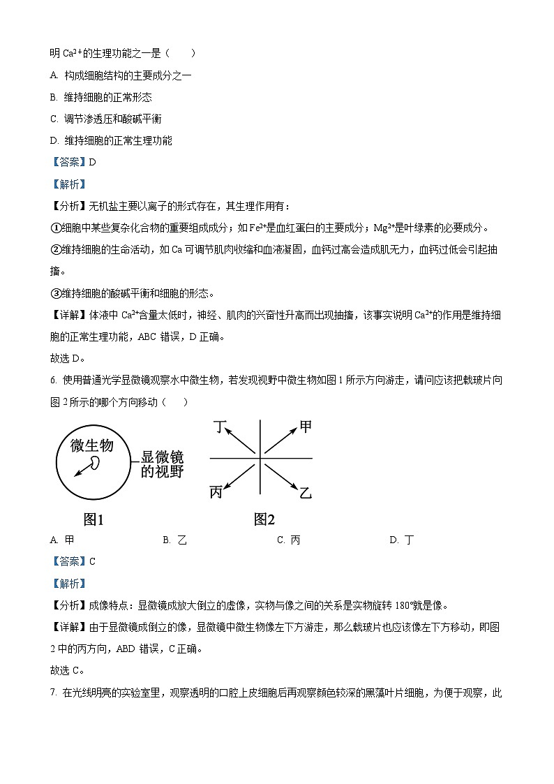精品解析:甘肃省天水市武山县第一高级中学2024-2025学年高一上学期11月期中生物试题(解析版)第3页