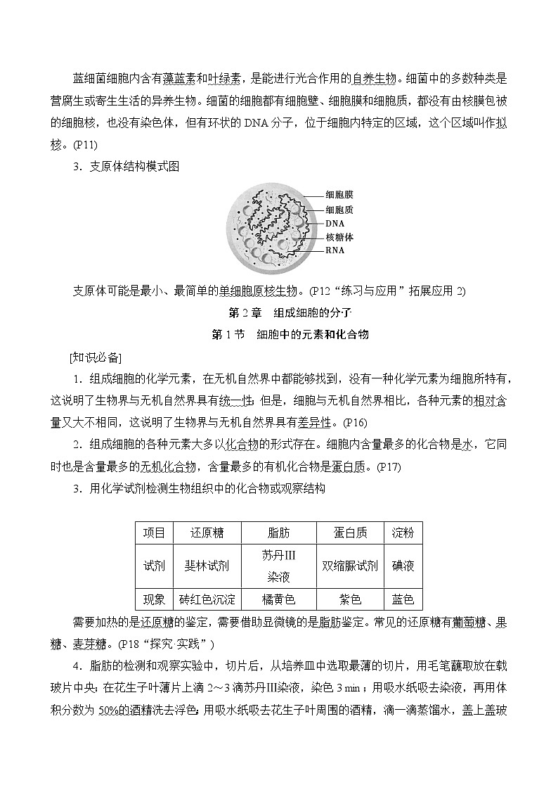 人教版(2019)高中生物必修1 分子与细胞 知识点考点复习提纲第3页