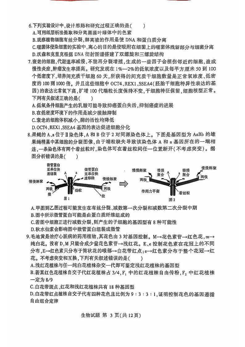 临沂市2022级高三上学期期中考试--生物第3页