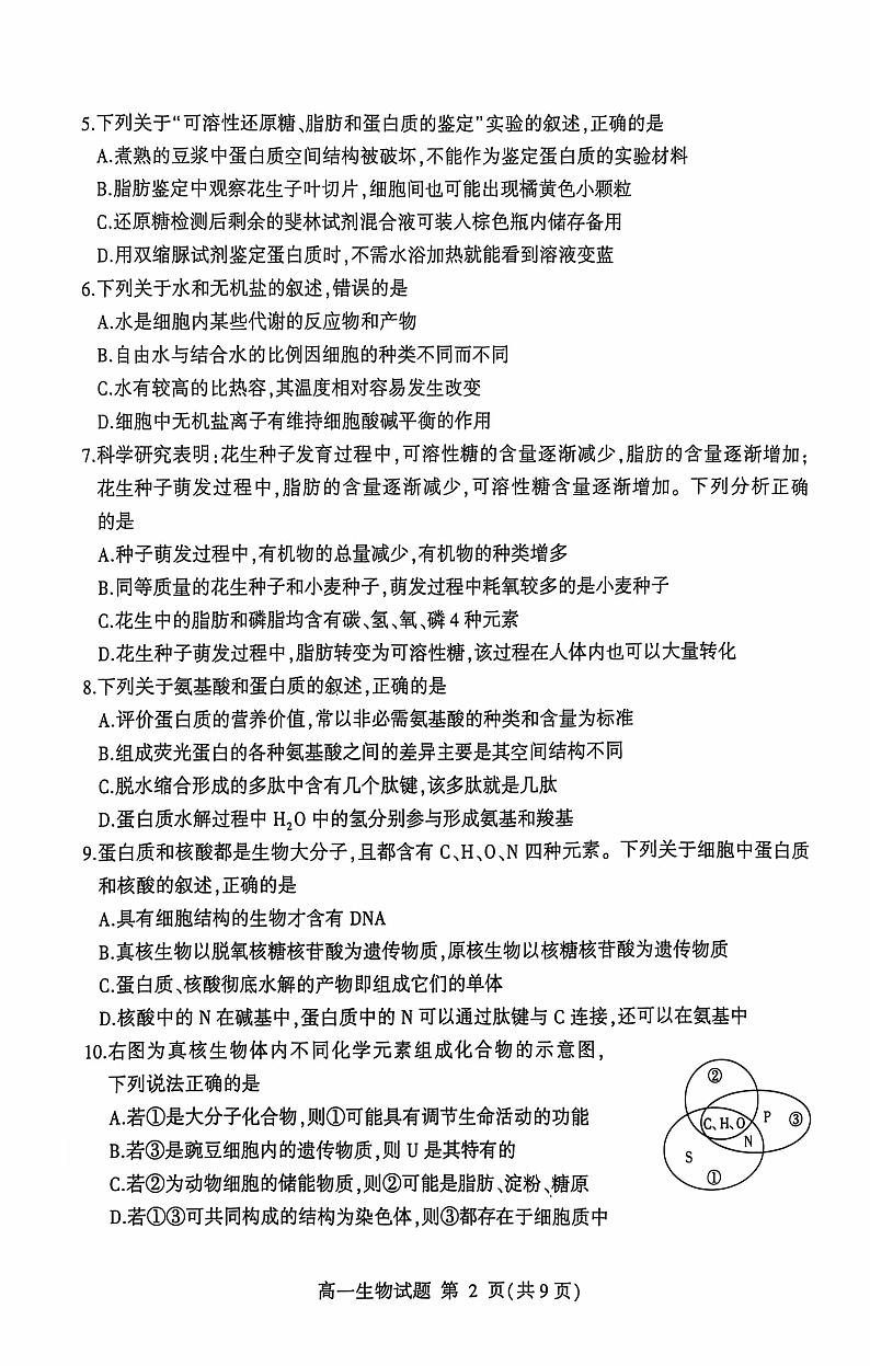山东省临沂市兰山区、兰陵县2024级高一上学期期中考试--生物+答案第2页
