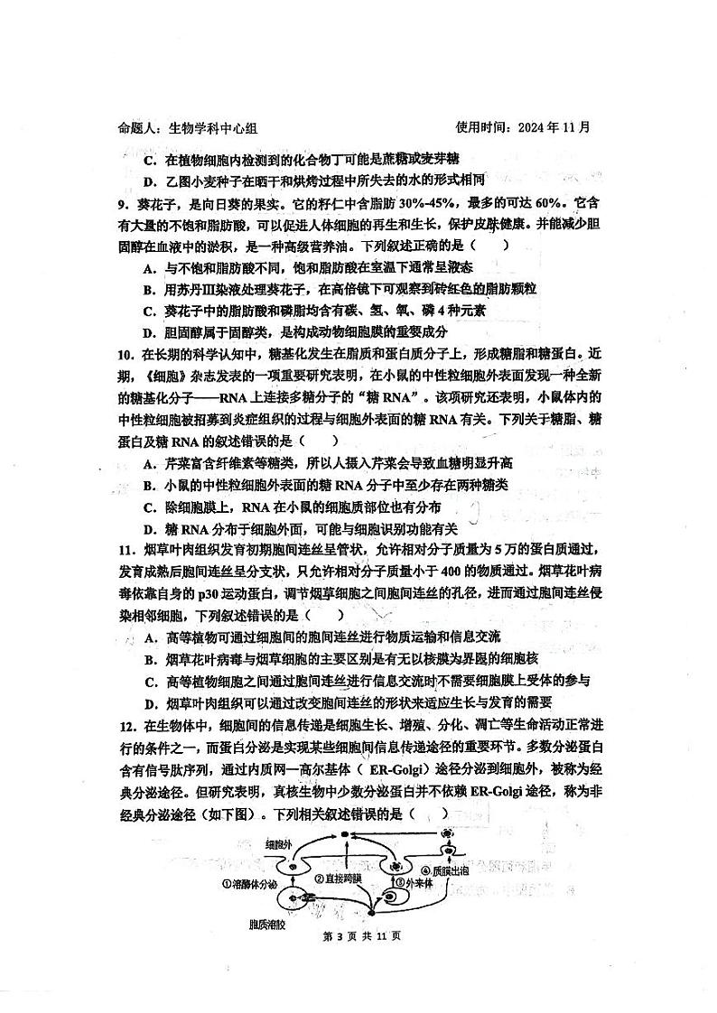 山东省淄博市实验中学齐盛中学2024-2025学年高一上学期期中测试生物试题03
