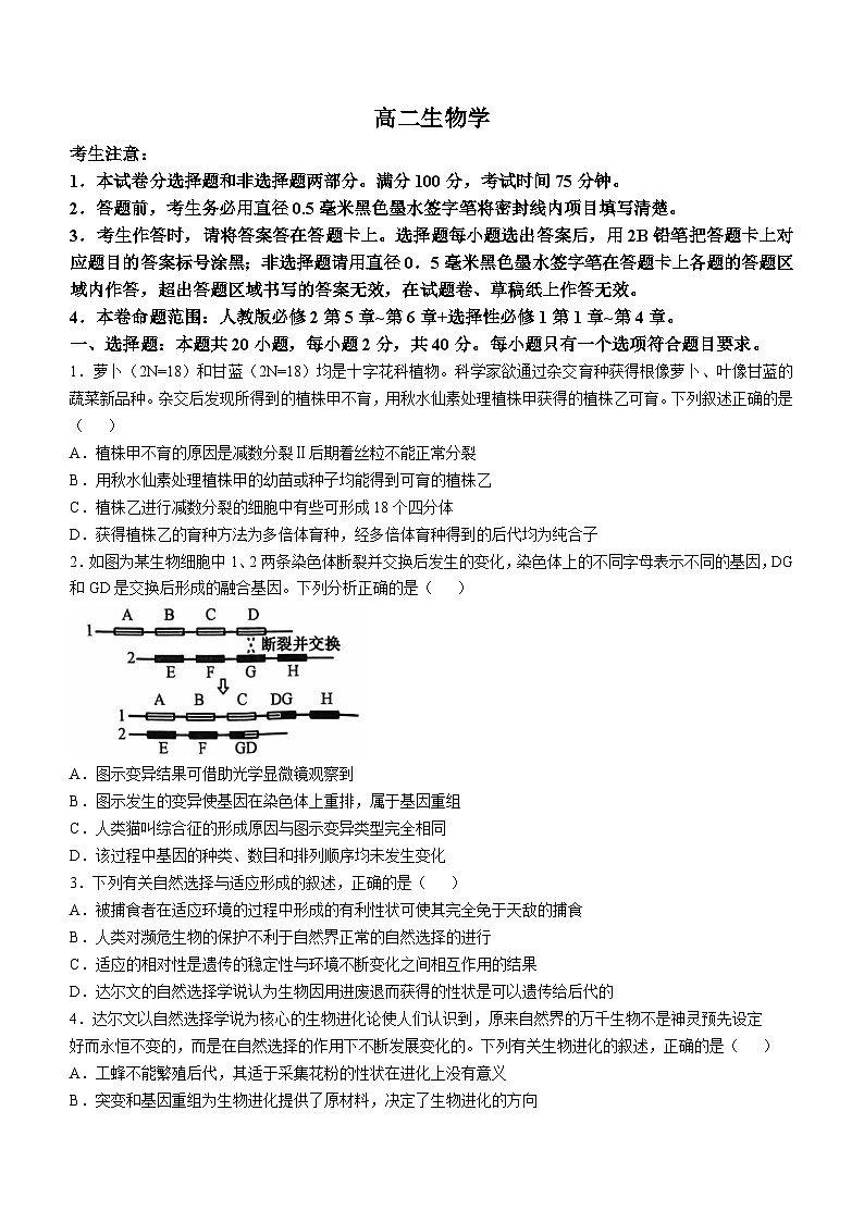 河南省郑州市2024-2025学年高二上学期11月联考期中考试生物试题(无答案)第1页