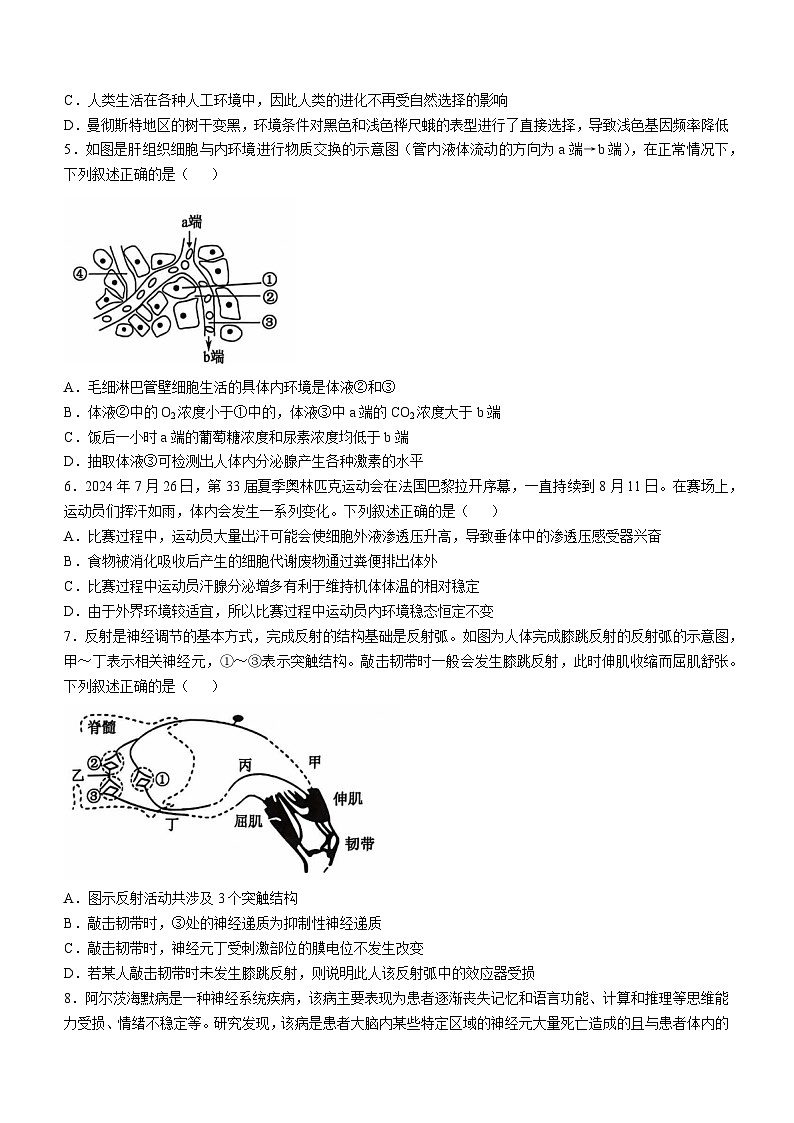 河南省郑州市2024-2025学年高二上学期11月联考期中考试生物试题(无答案)第2页