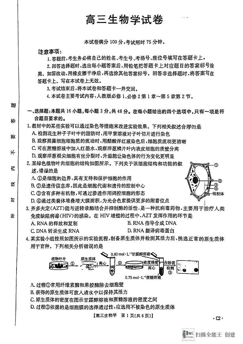 陕西省渭南市韩城市2024-2025学年高三上学期期中考试生物试题01