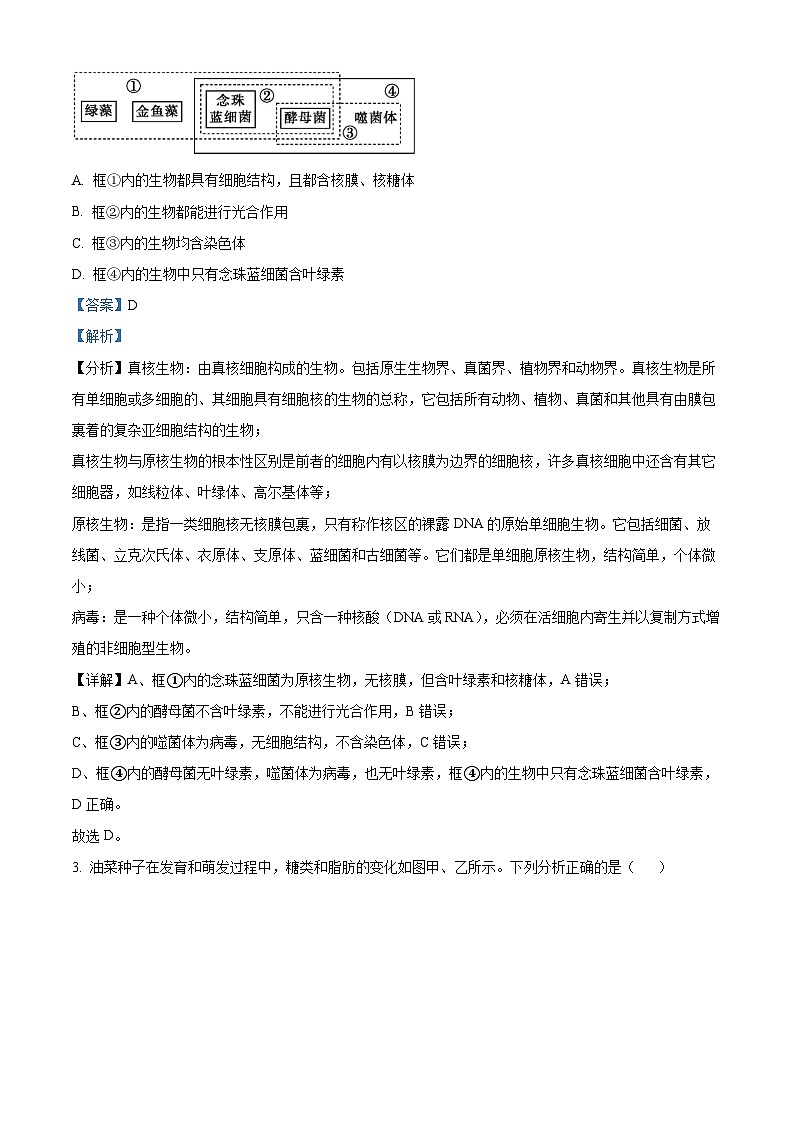 2025西安部分学校高一上学期10月联考生物试题含解析02
