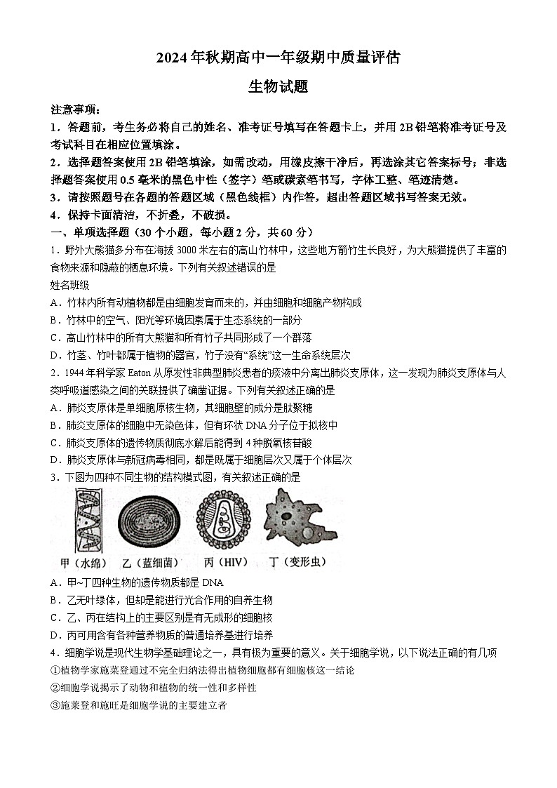 2025南阳高一上学期11月期中考试生物试题无答案第1页