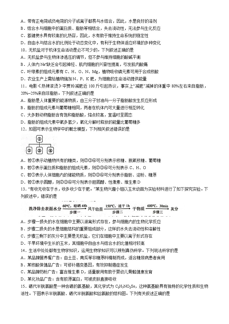 2025南阳高一上学期11月期中考试生物试题无答案第3页