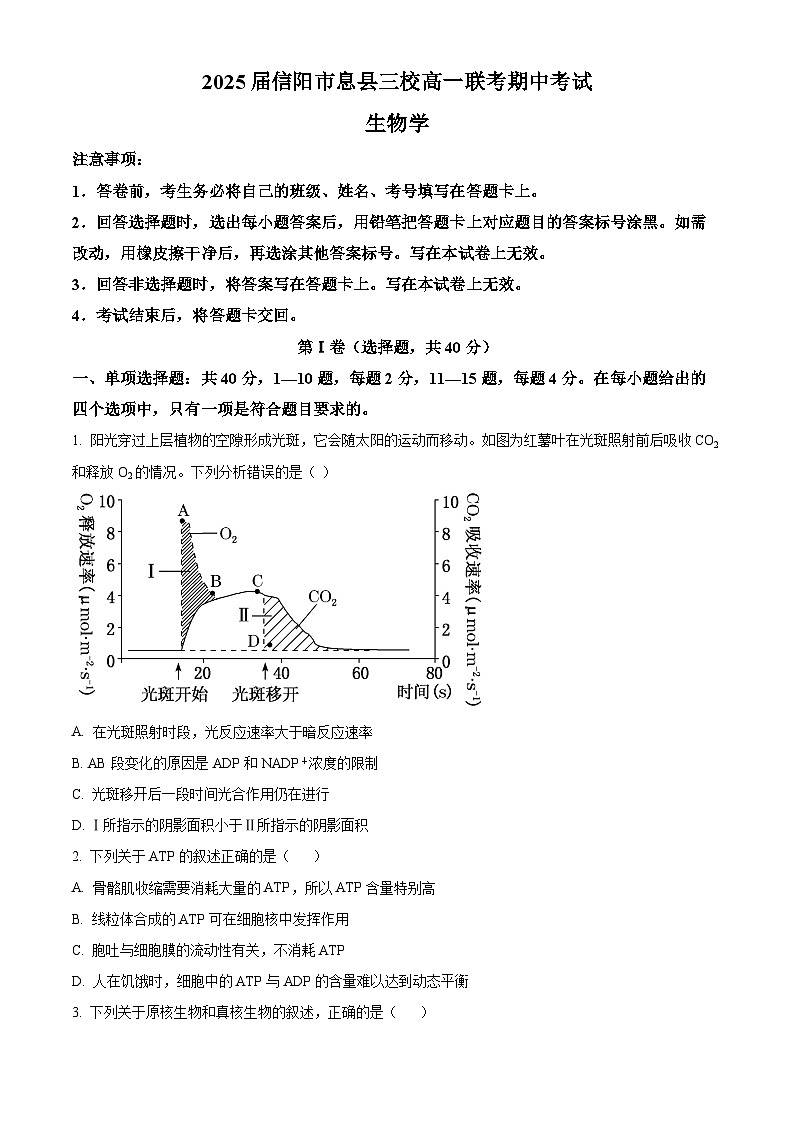 河南省信阳市息县三校联考2024-2025学年高一上学期11月期中生物试题无答案第1页