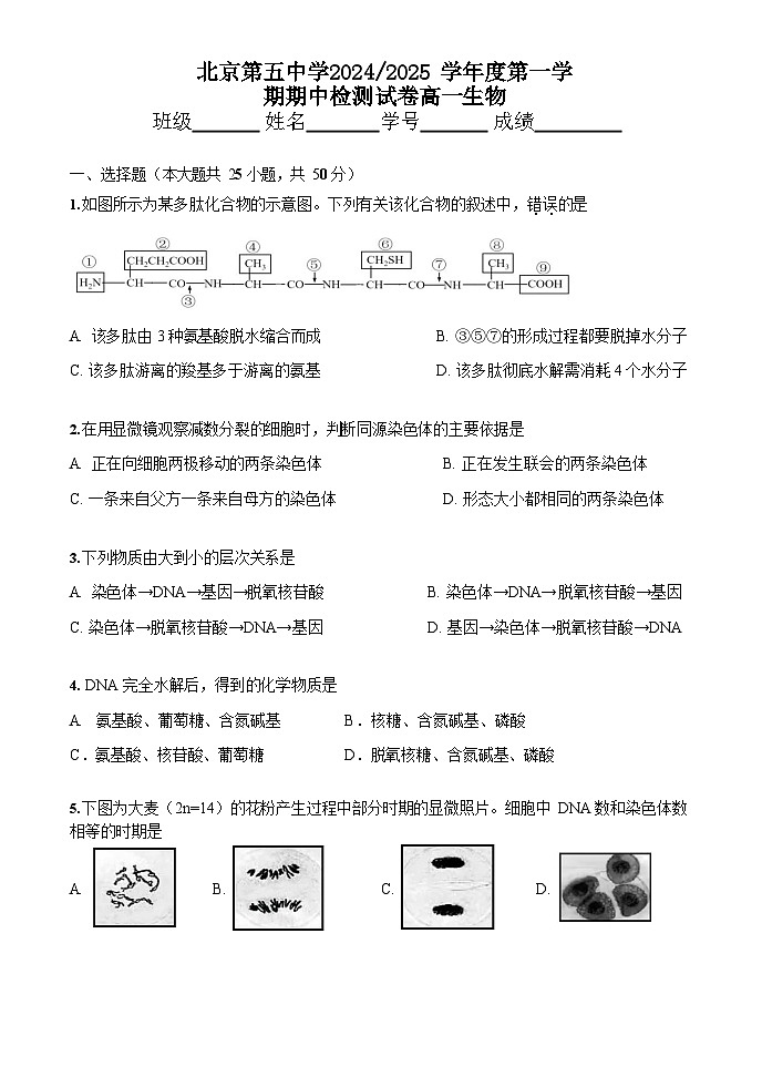 北京市第五中学2024-2025学年上学期高一期中考试生物试卷第1页