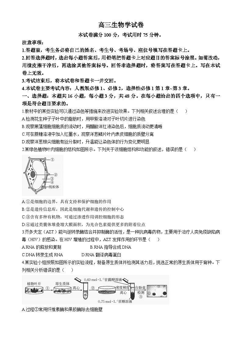陕西省汉中市金太阳期中联考检测考试2024-2025学年高三上学期11月期中生物试题第1页