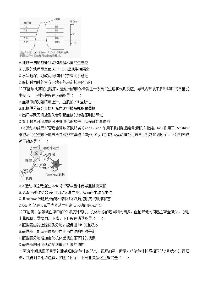 陕西省汉中市金太阳期中联考检测考试2024-2025学年高三上学期11月期中生物试题第3页
