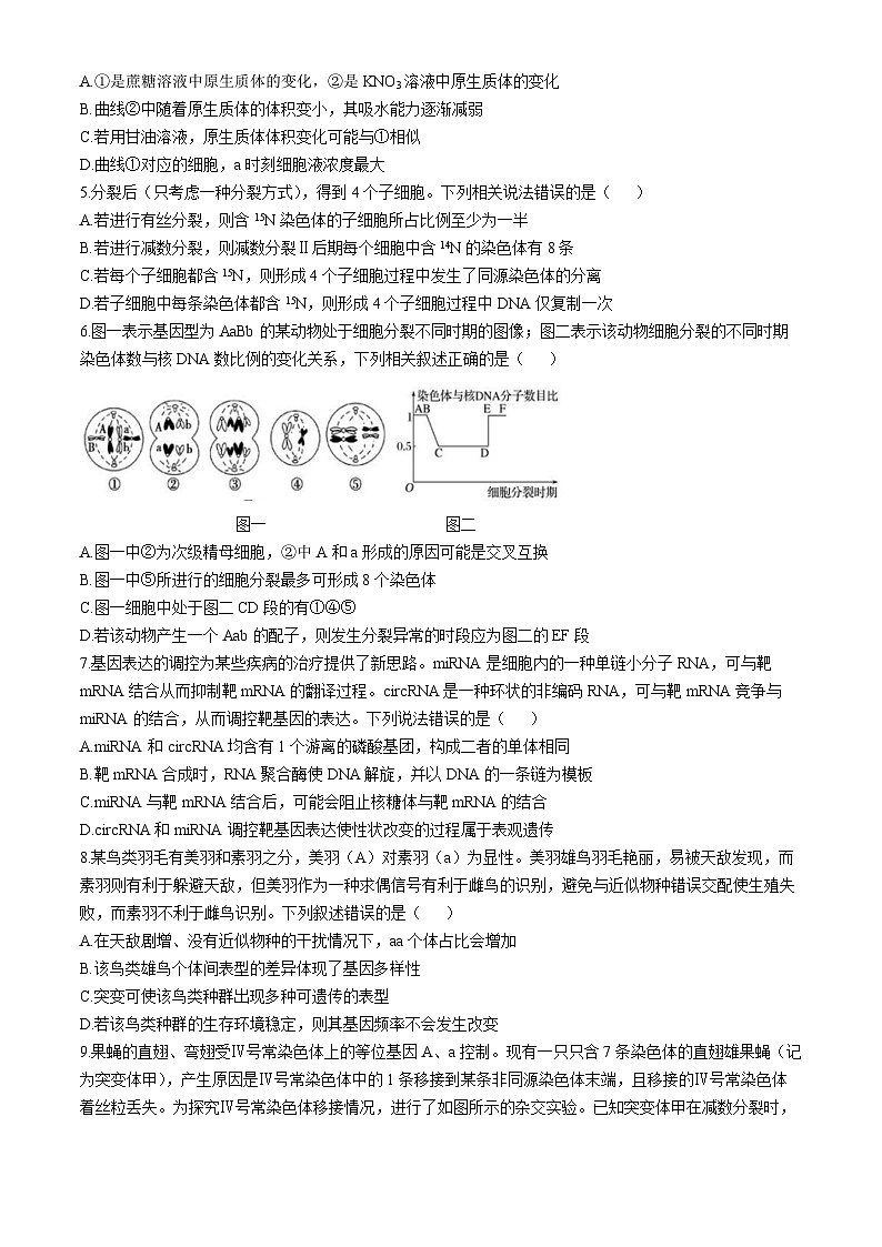 江西省南昌市东湖区南昌市第三中学2024-2025学年高三上学期11月期中生物试题第2页