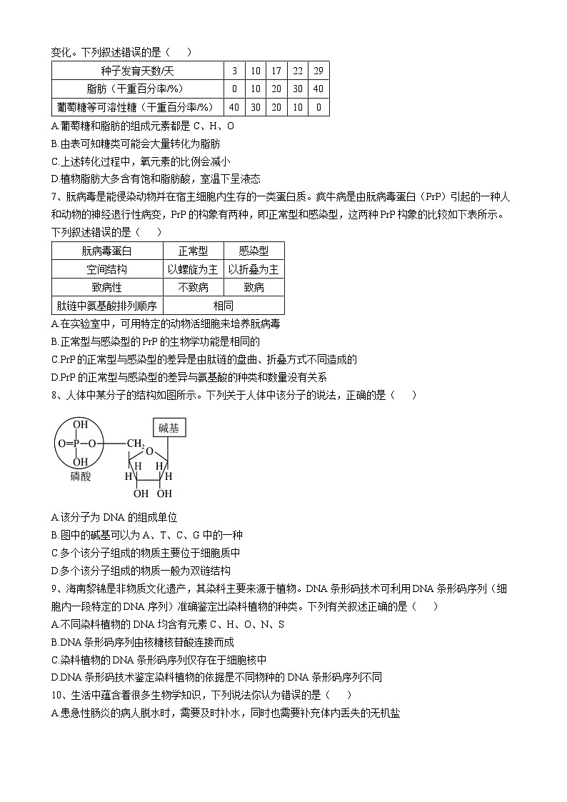 海南省海口市琼山中学2024-2025高一上学期期中考试生物试题第2页