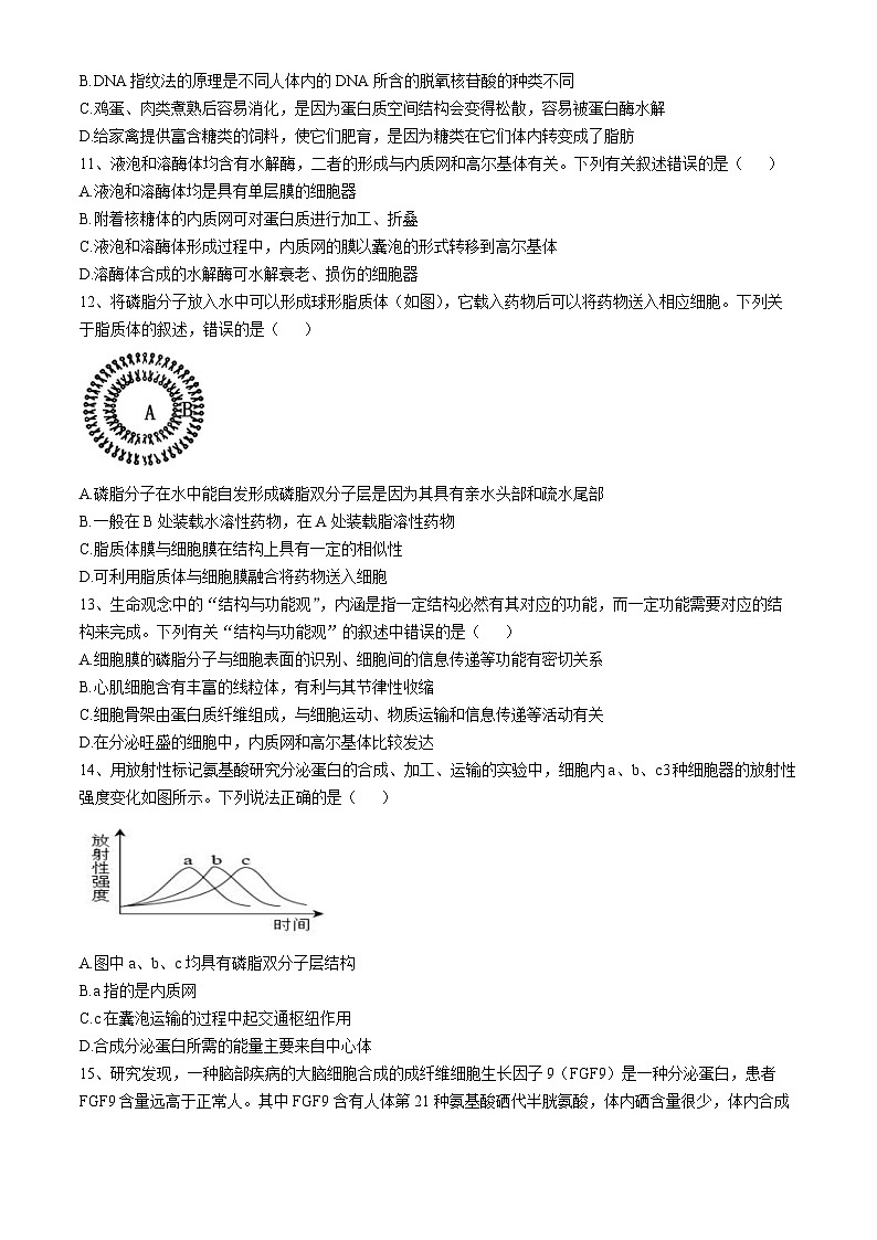 海南省海口市琼山中学2024-2025高一上学期期中考试生物试题第3页