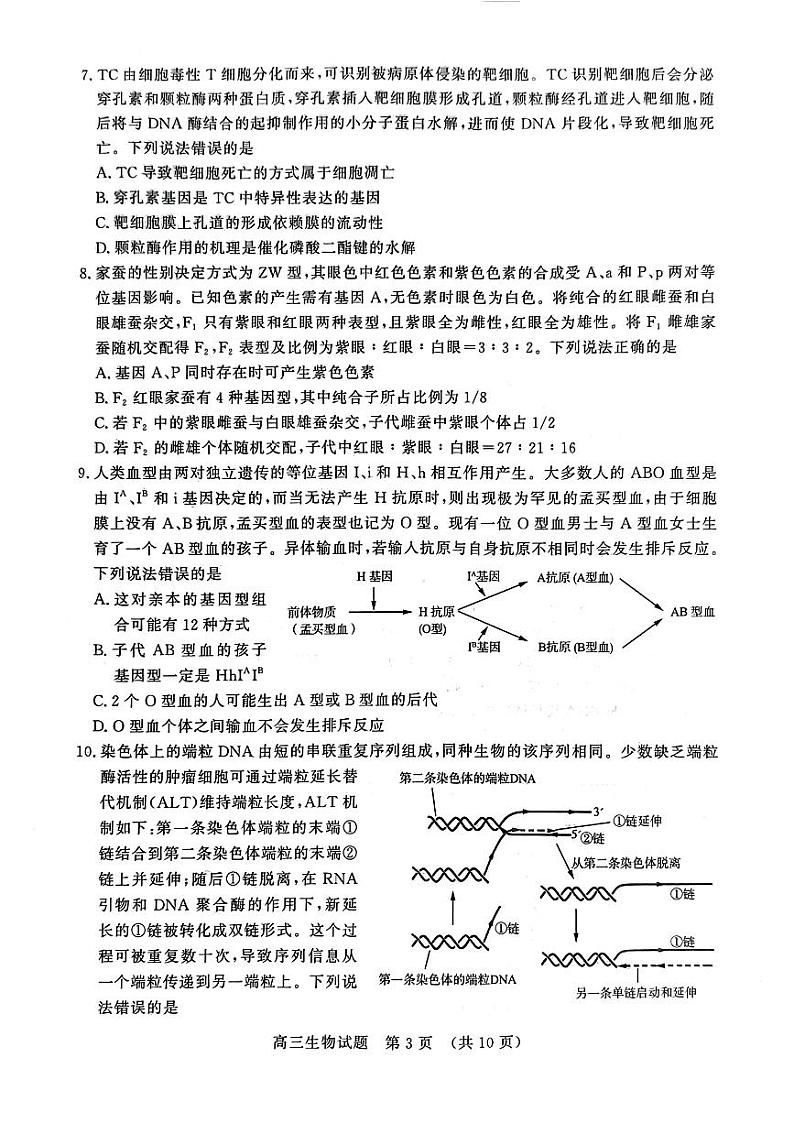 生物丨山东省名校考试联盟2025届高三11月期中检测生物试卷及答案03
