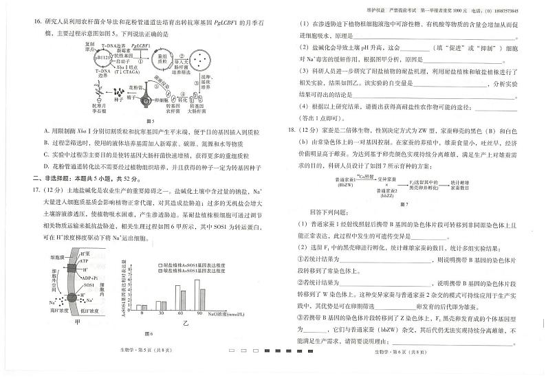 生物丨云南省云南师范大学附属中学2025届高三11月高考适应性月考卷(五)生物试卷及答案第3页