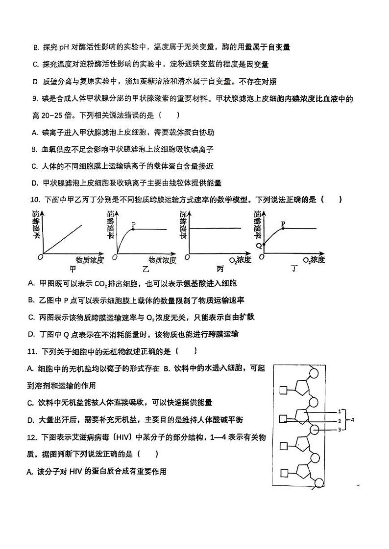 山东省淄博市桓台第一中学2024-2025高一上学期期中考试生物试卷第3页