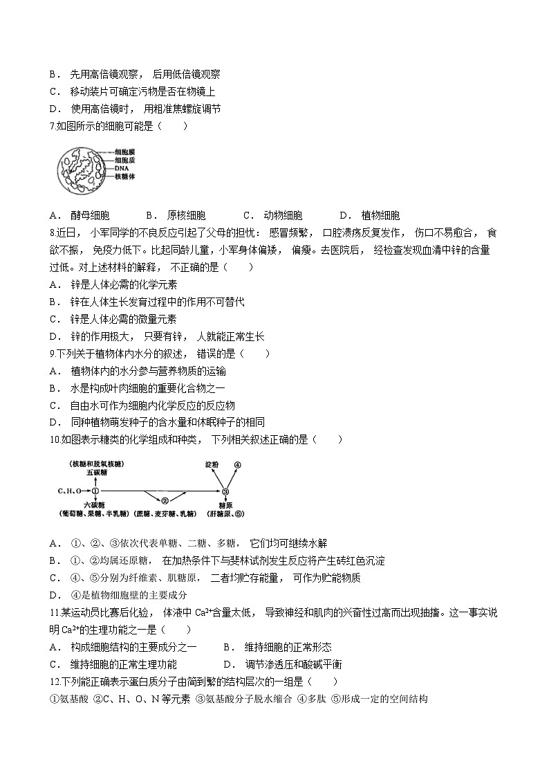 新疆维吾尔自治区喀什地区英吉沙县2024-2025学年高一上学期11月期中生物试题(无答案)第2页