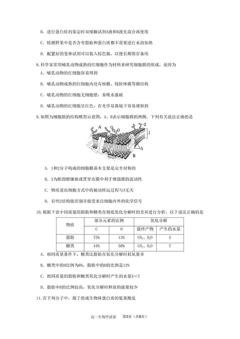 2024—2025学年度第一学期期中质量监测高一生物学试题第3页